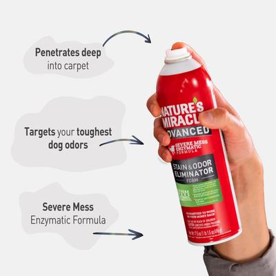 Show full view: Nature's Miracle Advanced Dog Stain & Odor Foam Aerosol Spray, 17.5-fl oz bottle slide 6 of 11