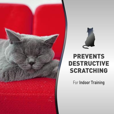 Show full view: Nature's Miracle Advanced Platinum Cat Scratch Deterrent Spray, 8-fl oz bottle slide 7 of 10