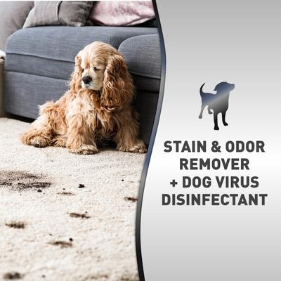 Show full view: Nature's Miracle Advanced Platinum Dog Stain & Odor Remover & Virus Disinfectant, 32-fl oz bottle slide 3 of 11