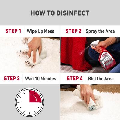 Show full view: Nature's Miracle Advanced Platinum Dog Stain & Odor Remover & Virus Disinfectant, 32-fl oz bottle slide 5 of 11