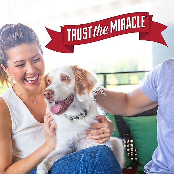 Nature's Miracle Advanced Platinum Indoor Training Aid Dog Repellent Spray