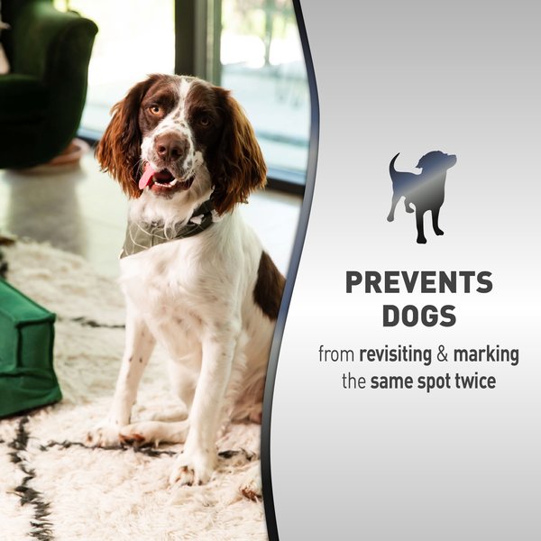 Nature's Miracle Advanced Platinum No More Marking Pet Stain & Odor Remover