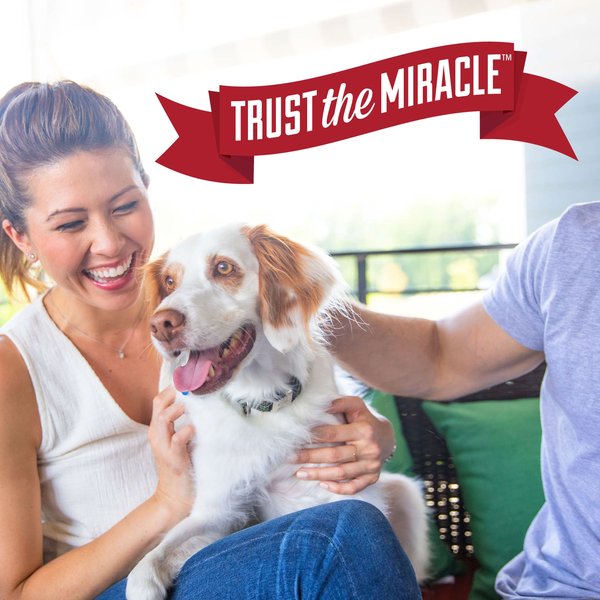 Nature's Miracle Advanced Platinum No More Marking Pet Stain & Odor Remover