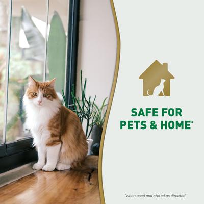 Show full view: Nature's Miracle Cat Urine Destroyer Plus Enzymatic Formula Stain Remover, 32-fl oz bottle slide 7 of 11