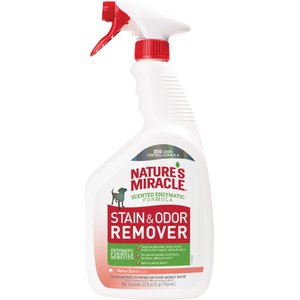 Nature's Miracle Dog Enzymatic Stain Remover & Odor Eliminator, Melon Burst Scent, 32-fl oz bottle
