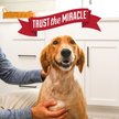 Show in main carousel: Nature's Miracle Dual Action Hard Floor Stain & Odor Remover, 24-fl oz bottle slide 9 of 12