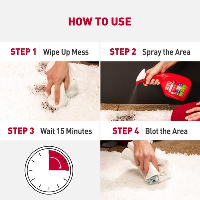 Show full view: Nature's Miracle Enzymatic Formula Advanced Dog Stain & Odor Eliminator, 32-fl oz bottle, Fresh Scent slide 3 of 11