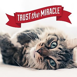 Nature's Miracle Enzymatic Formula Cat Litter Box Cleaner, 17.5-fl oz bottle