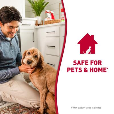 Show full view: Nature's Miracle Odor Control Formula Dog Stain & Odor Remover, 1.3-gal bottle slide 7 of 10