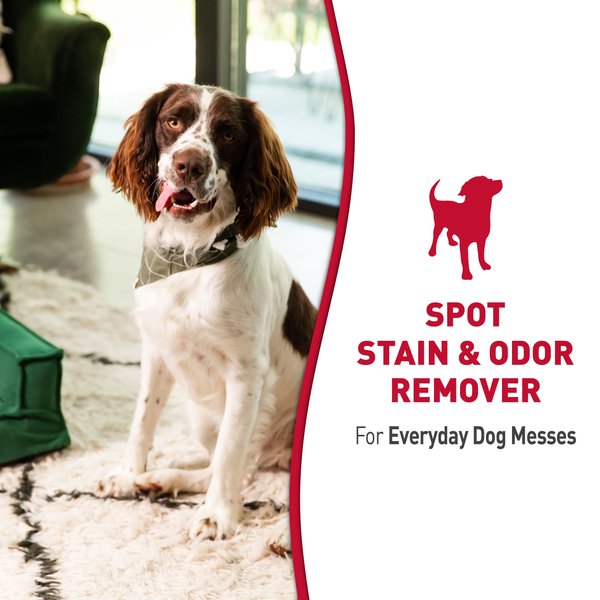 Show full view: Nature's Miracle Odor Control Formula Dog Stain & Odor Remover, 1.3-gal bottle slide 8 of 10