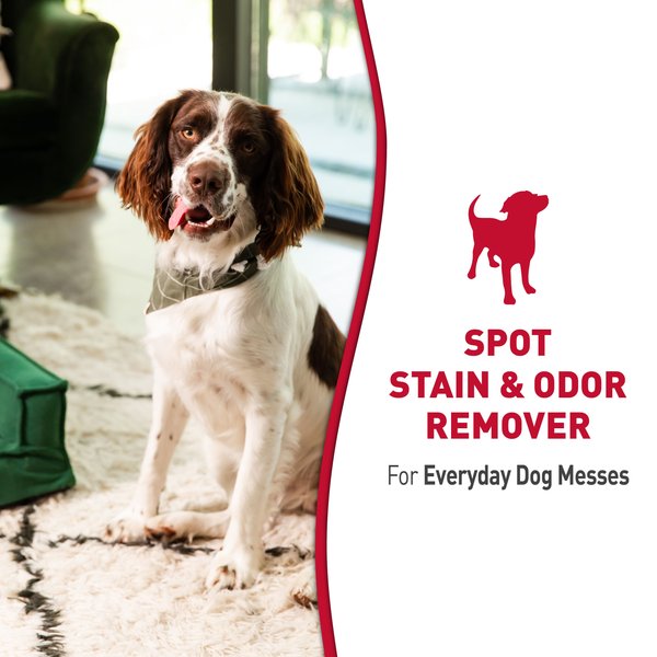 Show full view: Nature's Miracle Odor Control Formula Dog Stain & Odor Remover, 32-fl oz bottle slide 9 of 11