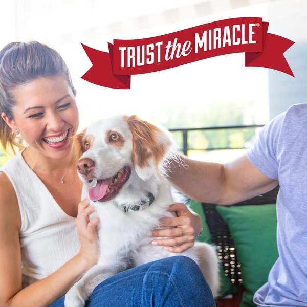 Show full view: Nature's Miracle Odor Control Formula Dog Stain & Odor Remover, 32-fl oz bottle slide 8 of 11