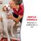 Show in main carousel: Nature's Miracle Odor Control Formula Skunk Odor Control Pet Shampoo & Conditioner, 32-fl oz bottle, Lavender Scent slide 5 of 10