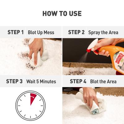 Show full view: Nature's Miracle Oxy Formula Set-In Cat Stain Destroyer 24-fl oz bottle, Orange Scent slide 4 of 12