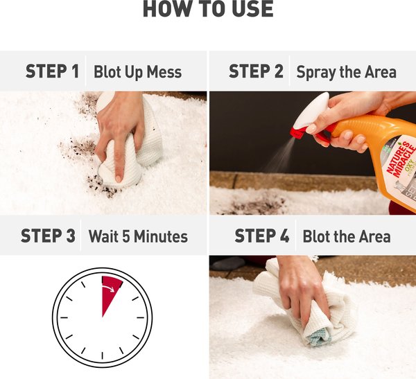 Show full view: Nature's Miracle Oxy Formula Set-In Dog Stain Destroyer, 1-gal bottle slide 4 of 12