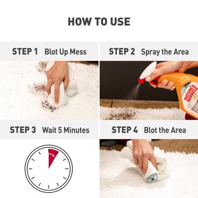 Show full view: Nature's Miracle Oxy Formula Set-In Dog Stain Destroyer, 1-gal bottle slide 4 of 12