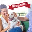 Show in main carousel: Nature's Miracle Oxy Formula Set-In Dog Stain Destroyer, 1-gal bottle slide 9 of 12
