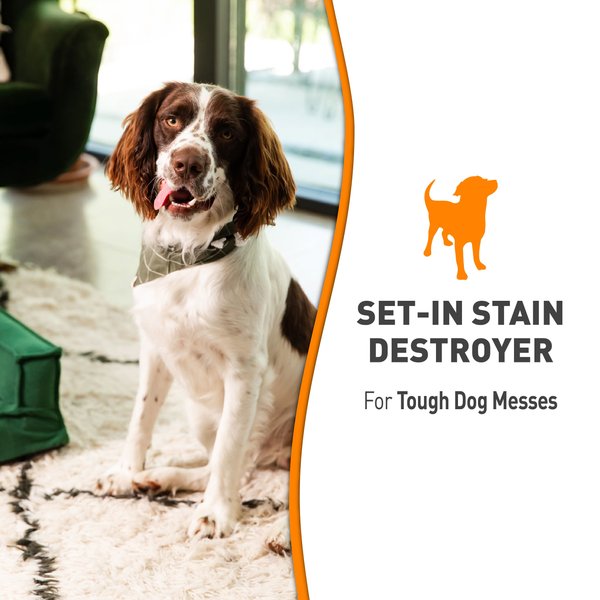 Show full view: Nature's Miracle Oxy Formula Set-In Dog Stain Destroyer, 1-gal bottle slide 7 of 12