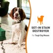 Show in main carousel: Nature's Miracle Oxy Formula Set-In Dog Stain Destroyer, 1-gal bottle slide 7 of 12