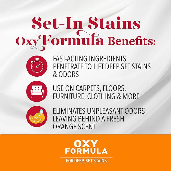 Show full view: Nature's Miracle Oxy Formula Set-In Dog Stain Destroyer, 32-fl oz bottle, Orange Scent slide 3 of 8