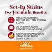 Show in main carousel: Nature's Miracle Oxy Formula Set-In Dog Stain Destroyer, 32-fl oz bottle, Orange Scent slide 3 of 8