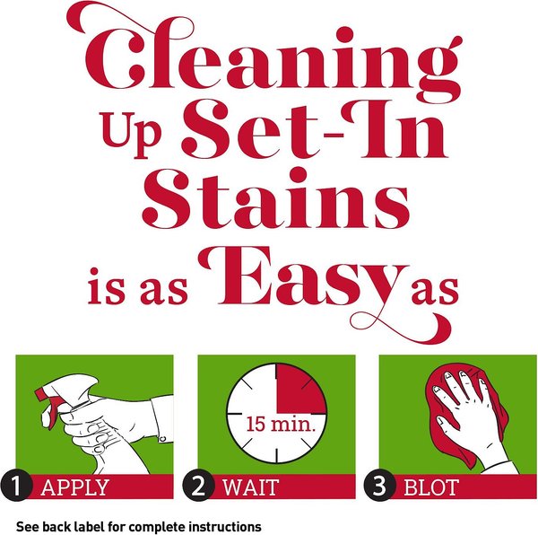 Show full view: Nature's Miracle Oxy Formula Set-In Dog Stain Destroyer, 32-fl oz bottle, Orange Scent slide 4 of 8