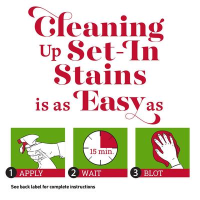 Show full view: Nature's Miracle Oxy Formula Set-In Dog Stain Destroyer, 32-fl oz bottle, Orange Scent slide 4 of 8