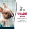 Show in main carousel: Nature's Miracle Small Animal Cage Scrubbing Wipes, 30 count slide 3 of 10