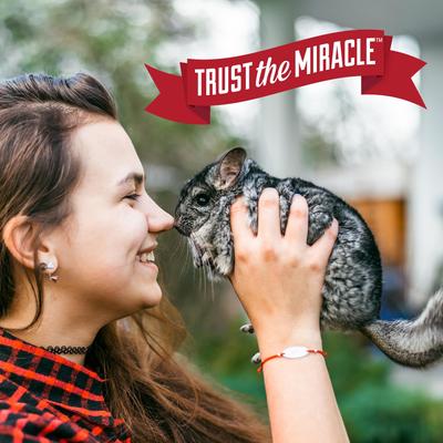 Show full view: Nature's Miracle Small Animal Cage Scrubbing Wipes, 30 count slide 9 of 10