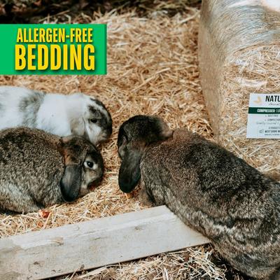 Show full view: Natures Premier Small Animal Bedding, 16-lb bag slide 2 of 5