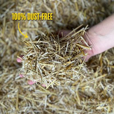 Show full view: Natures Premier Small Animal Bedding, 16-lb bag slide 3 of 5