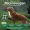 Show in main carousel: Nature's Protection Superior Care Medium Grain-Free Insects Puppy Dental Dog Treats, 5.29-oz bag slide 7 of 9