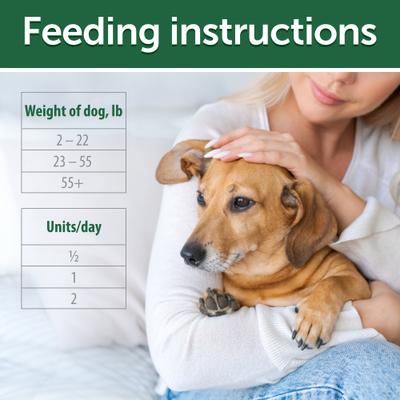 Show full view: Nature's Protection Superior Care Medium Grain-Free Insects Puppy Dental Dog Treats, 5.29-oz bag slide 6 of 9