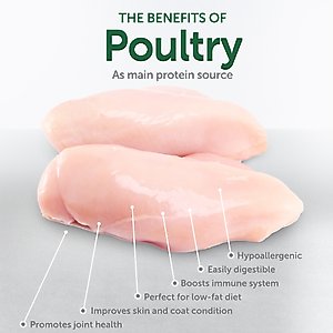 Nature's Protection Superior Care Oral Care Poultry Dental Crunchy Cat Treats, 2.64-oz bag