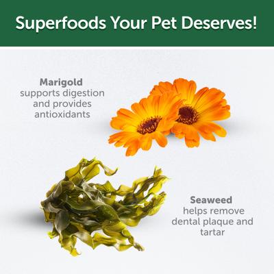 Show full view: Nature's Protection Superior Care Oral Care Poultry Dental Crunchy Cat Treats, 2.64-oz bag slide 9 of 10