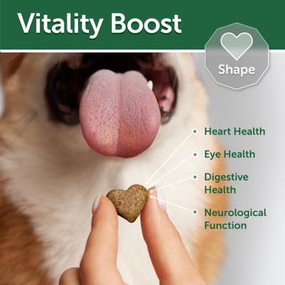 Show full view: Nature's Protection Superior Care Digestive Support White Fish & Rice Adult Dog Treats, 5.29-oz bag slide 5 of 9