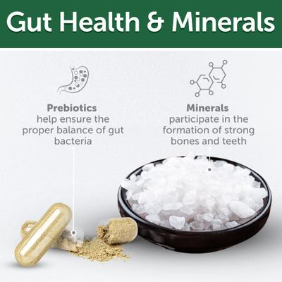 Show full view: Nature's Protection Superior Care Grain-Free Lamb Adult Training Dog Treats, 5.29-oz bag slide 9 of 9