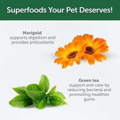 Show full view: Nature's Protection Superior Care Medium Grain-Free Insect Protein Adult Dental Dog Treats, 5.29-oz bag slide 9 of 9