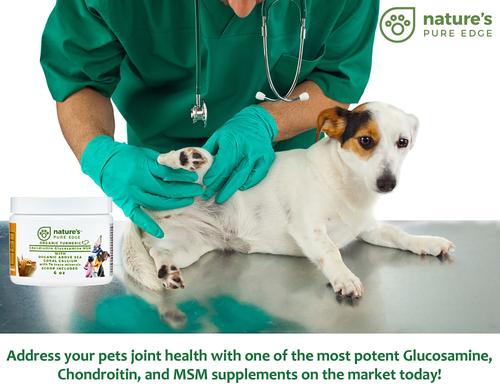 Show full view: Nature's Pure Edge Hip & Joint & Tumeric Dog & Cat Supplement, 6-oz jar slide 4 of 11