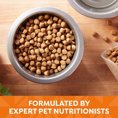 Show full view: Nature's Recipe Adult Chicken, Barley & Brown Rice Recipe Dry Dog Food, 4-lb bag slide 5 of 13