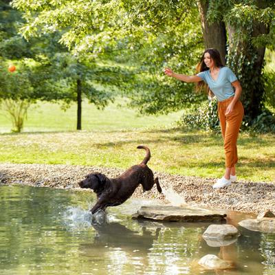 Show full view: Nature's Recipe Adult Lamb, Barley & Brown Rice Recipe Dry Dog Food, 12-lb bag slide 7 of 13