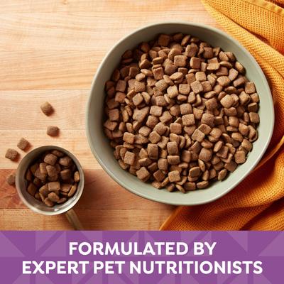 Show full view: Nature's Recipe Adult Lamb, Barley & Brown Rice Recipe Dry Dog Food, 34-lb bag slide 6 of 13