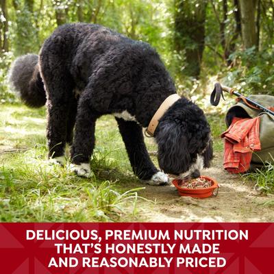 Show full view: Nature's Recipe Chicken & Beef Recipe in Savory Broth Grain-Free Wet Dog Food, 2.75-oz tray, case of 12 slide 6 of 12