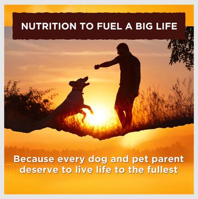 Show full view: Nature's Recipe Chicken & Beef Recipe in Savory Broth Grain-Free Wet Dog Food, 2.75-oz tray, case of 12 slide 7 of 12