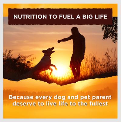 Show full view: Nature's Recipe Chicken & Turkey in Broth Recipe Grain-Free Wet Dog Food, 2.75-oz tray, case of 12 slide 7 of 12