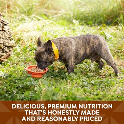 Show full view: Nature's Recipe Chicken & Turkey Recipe in Broth Wet Dog Food, 2.75-oz, case of 12 slide 6 of 13