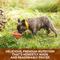 Show in main carousel: Nature's Recipe Chicken & Turkey Recipe in Broth Wet Dog Food, 2.75-oz tray, bundle of 24  slide 6 of 13