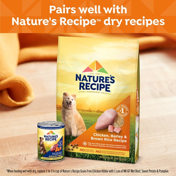 Nature's Recipe Grain-Free Beef, Sweet Potato & Pumpkin Recipe Wet Dog Food, 13-oz can, 12 count