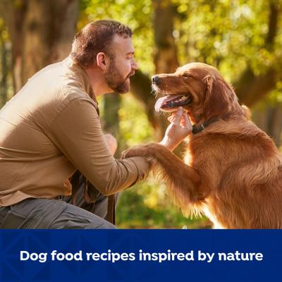 Show full view: Nature's Recipe Grain-Free Beef, Sweet Potato & Pumpkin Recipe Wet Dog Food, 13-oz can, 12 count slide 6 of 12
