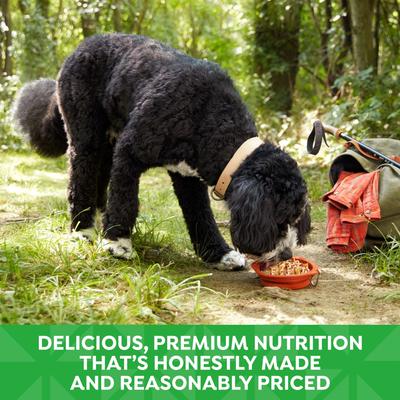 Show full view: Nature's Recipe Grain-Free Chicken & Duck Recipe in Broth Wet Dog Food, 2.75-oz tray, bundle of 24  slide 6 of 12